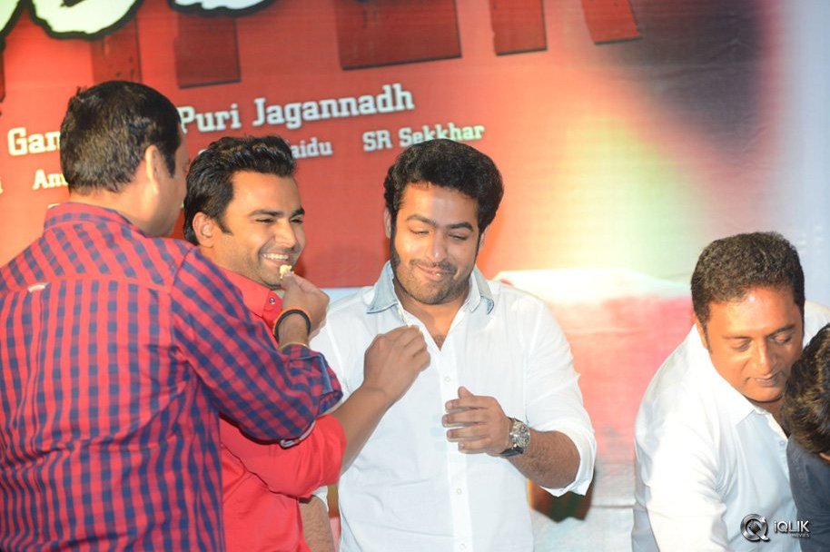 Temper-Movie-Success-Meet